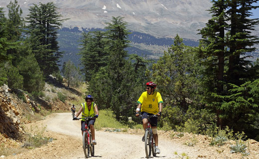 Biking